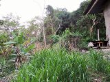 House For Sale in Hopeton, St. James Jamaica | [2]