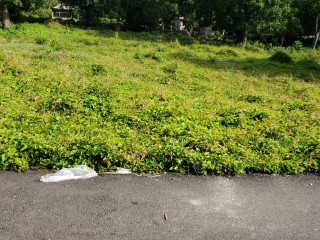 Land For Sale in Lionel town, Clarendon Jamaica | [4]