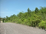 Residential lot For Sale in Santa Cruz, St. Elizabeth Jamaica | [2]