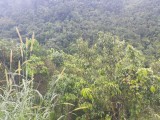 Residential lot For Sale in Above Rocks, St. Catherine Jamaica | [2]