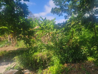 Commercial/farm land For Sale in Old Harbour, St. Catherine, Jamaica