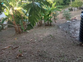 House For Sale in Phillips Avenue, St. Thomas Jamaica | [2]