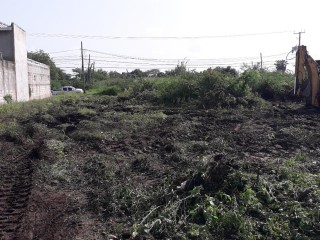 Commercial/farm land For Rent in Denbigh, Clarendon Jamaica | [1]