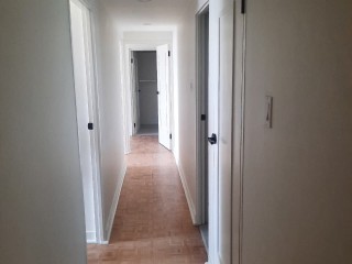 Apartment For Rent in Trafalgar Road, Kingston / St. Andrew Jamaica | [8]