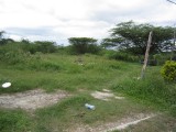 Commercial/farm land For Sale in Rhymesbury, Clarendon Jamaica | [4]