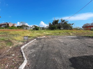 Residential lot For Sale in Whitehouse, Westmoreland Jamaica | [5]