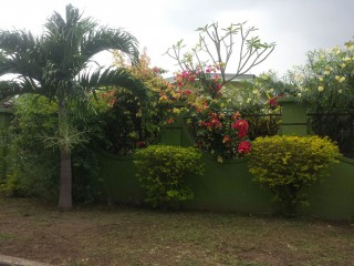 House For Rent in Kingston 6, Kingston / St. Andrew Jamaica | [7]
