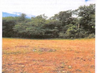 Residential lot For Sale in Elim District, St. Elizabeth, Jamaica