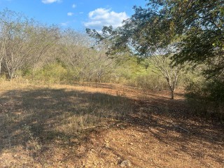 Land For Sale in Retreat, Clarendon Jamaica | [2]