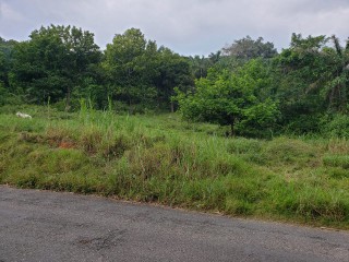 Commercial/farm land For Sale in Watermount, St. Catherine Jamaica | [3]