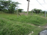 Commercial/farm land For Sale in Rhymesbury, Clarendon Jamaica | [1]