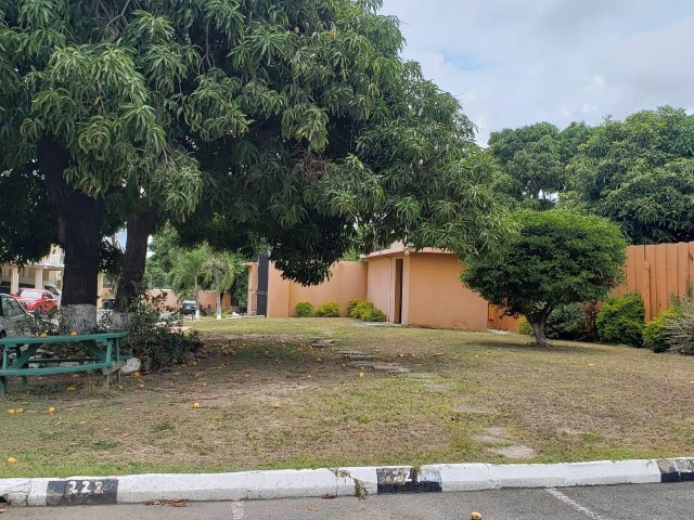 Apartment For Rent in Kingston 10, Kingston / St. Andrew Jamaica | [7]