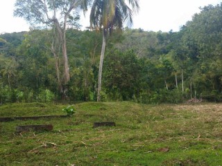 Commercial/farm land For Sale in PERU, Trelawny Jamaica | [1]