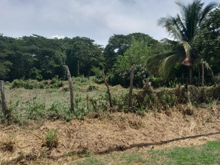 Residential lot For Sale in The Vineyards, St. Catherine, Jamaica