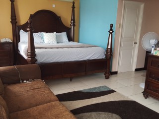 Apartment For Rent in Winchester Estate, Kingston / St. Andrew Jamaica | [10]