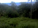 Commercial/farm land For Sale in Black hill, Portland Jamaica | [3]