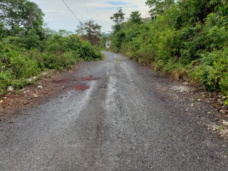 Residential lot For Sale in Spring Valley Estate, St. Mary Jamaica | [3]