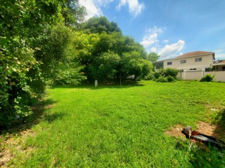 House For Sale in Kingston 8, Kingston / St. Andrew Jamaica | [9]