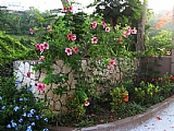 House For Sale in Stony Hill, Kingston / St. Andrew Jamaica | [9]