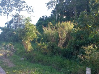 Residential lot For Sale in Moorlands Estates, Manchester Jamaica | [10]