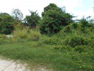 Residential lot For Sale in Kingston 5, Kingston / St. Andrew Jamaica | [4]