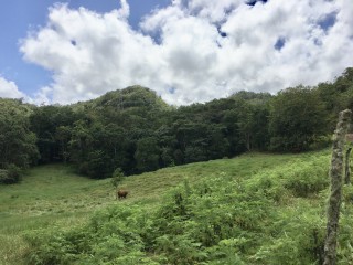 Residential lot For Sale in Chippenham Park Bamboo, St. Ann Jamaica | [14]