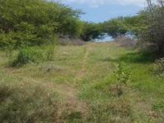 Resort/vacation property For Sale in YALLAHS, St. Thomas Jamaica | [3]