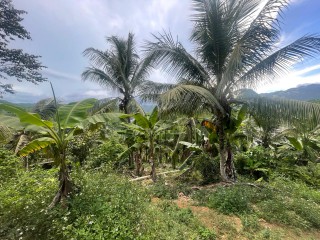 1 bed Commercial/farm land For Sale in Ewarton, St. Catherine, Jamaica