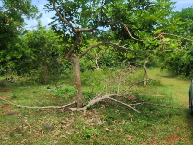 Development Land (Residential) For Sale in OldHope little london, Westmoreland Jamaica | [3]