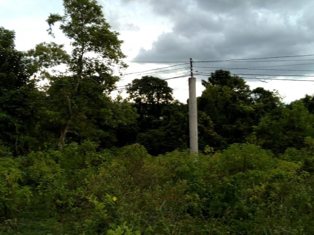 Development Land (Residential) For Sale in Longwood Near St Cruz, St. Elizabeth Jamaica | [2]