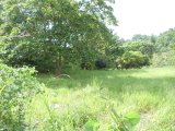 Commercial/farm land For Sale in Browns Town, St. Ann Jamaica | [4]