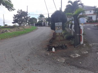 Residential lot For Sale in Mandeville, Manchester Jamaica | [4]