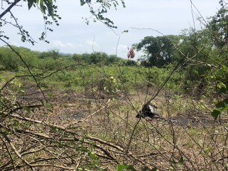 Land For Sale in Negril, Westmoreland, Jamaica