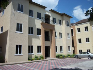 Apartment For Rent in Kingston 8, Kingston / St. Andrew Jamaica | [7]