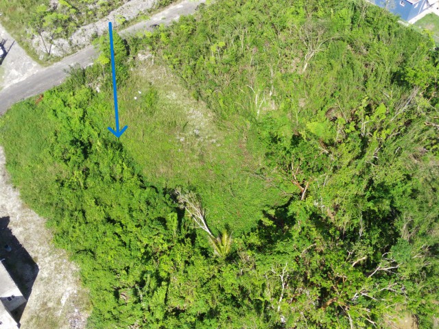 Land For Sale in Santa Cruz, St. Elizabeth Jamaica | [3]