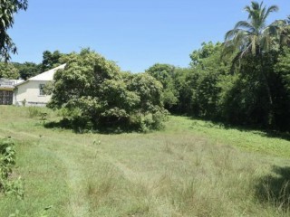 Residential lot For Sale in Duncans, Trelawny Jamaica | [2]