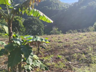 Land For Sale in Charlton Ave, Manchester Jamaica | [3]