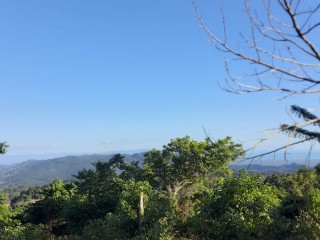 Land For Sale in New Works, Westmoreland, Jamaica