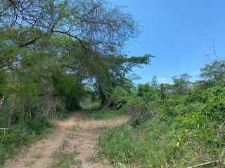 Residential lot For Sale in Bushy Park, St. Catherine, Jamaica