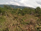 Residential lot For Sale in Sligoville, St. Catherine Jamaica | [1]