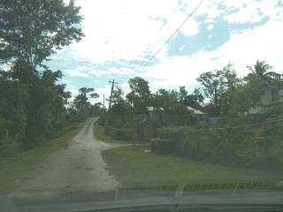 Commercial/farm land For Sale in Browns Town, St. Ann Jamaica | [9]