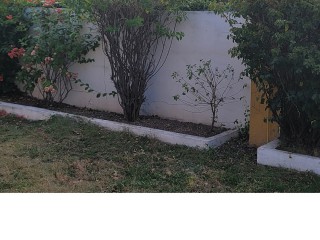 House For Rent in Mona, Kingston / St. Andrew Jamaica | [2]