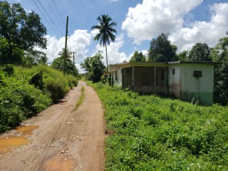 Residential lot For Sale in Time and Patience, St. Catherine Jamaica | [7]