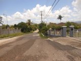 Apartment For Rent in INGLESIDE MANDEVILLE, Manchester Jamaica | [4]