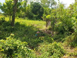 Development Land (Residential) For Sale in Santa Cruz, St. Elizabeth Jamaica | [2]