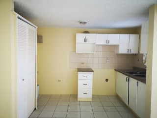 Apartment For Rent in New Kingston, Kingston / St. Andrew Jamaica | [5]
