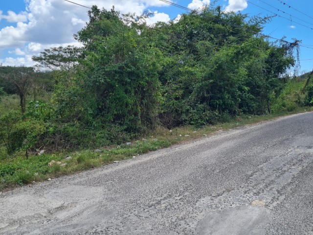 Development Land (Residential) For Sale - Black River, St. Elizabeth, Jamaica