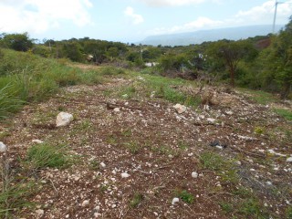 Land For Sale in Wigton, Manchester Jamaica | [7]