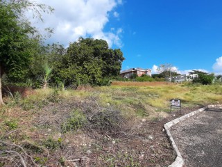 Residential lot For Sale in Whitehouse, Westmoreland Jamaica | [3]