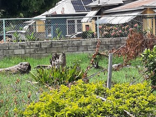 5 bed House For Sale in Richmond Park partly burnt house, Kingston / St. Andrew, Jamaica